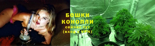 стаф Белокуриха