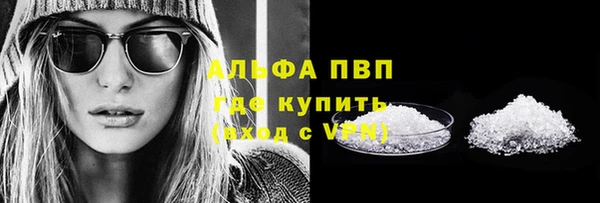стаф Белокуриха