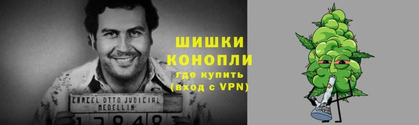 молекула духа Белоозёрский