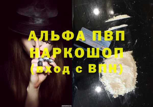 стаф Белокуриха
