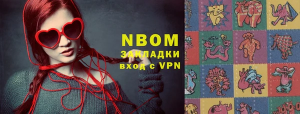 стаф Белокуриха