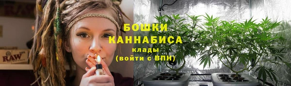 молекула духа Белоозёрский