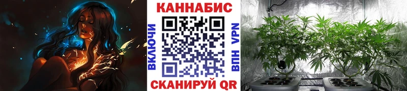 Шишки марихуана марихуана  Самара 